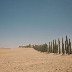 Scenic view of field against clear blue sky