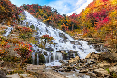 Scenic view of waterfall in forest during autumn