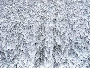 Full frame shot of frozen tree