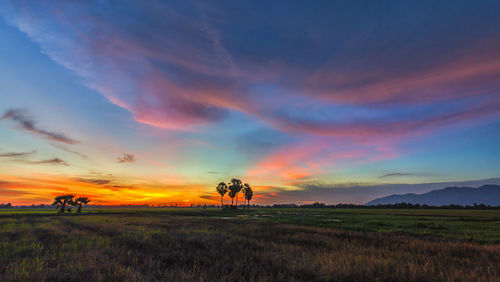 Scenic view of field against sky during sunset