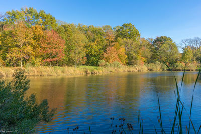 Scenic view of lake by trees during autumn