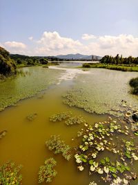 Scenic view of lake against sky