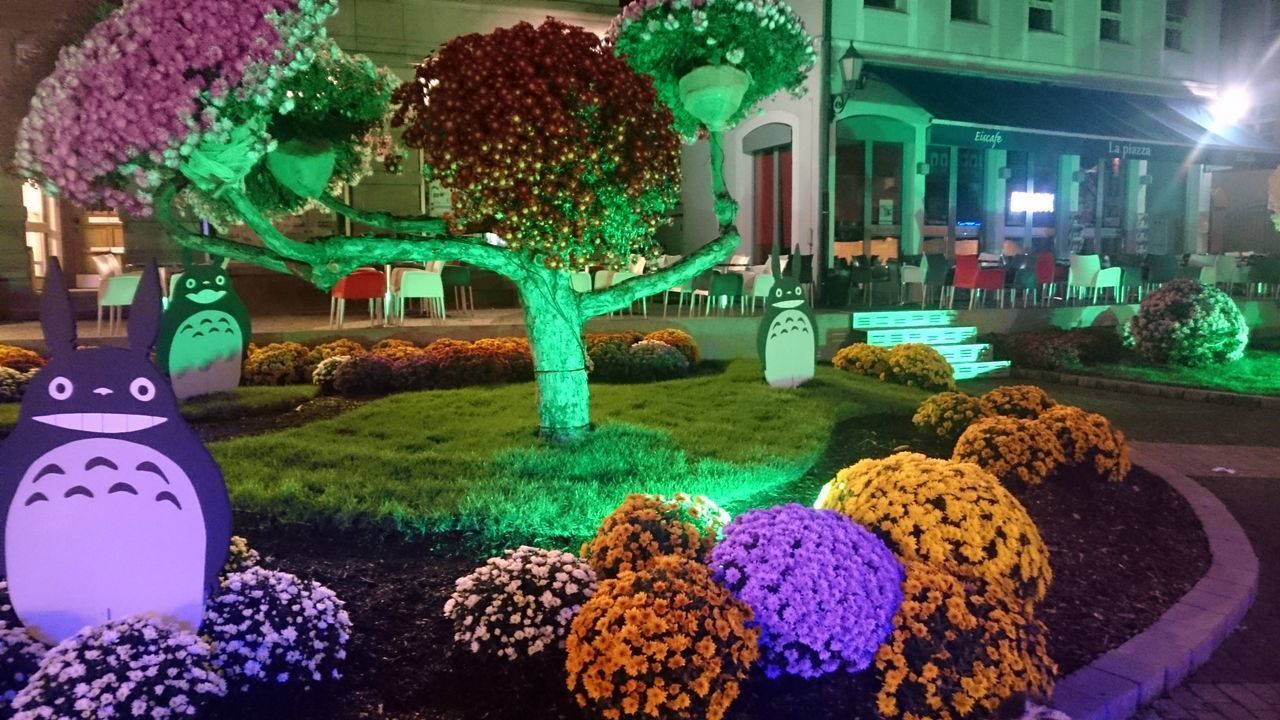 CLOSE-UP OF ILLUMINATED MULTI COLORED BUILDING AT NIGHT