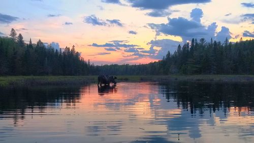 Scenic view of lake against sky during sunset