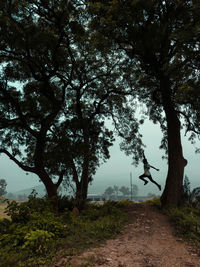 Scenic view of trees against sky