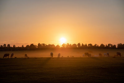 Scenic view of field against sky during sunset