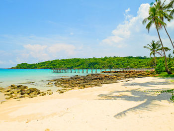 Scenic view of beach against clear sky