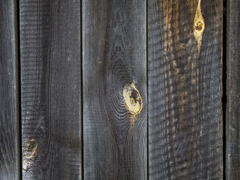 Close-up of wood