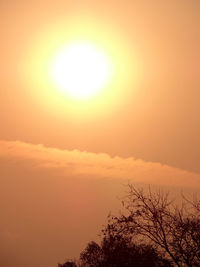 Low angle view of silhouette trees against sky during sunset