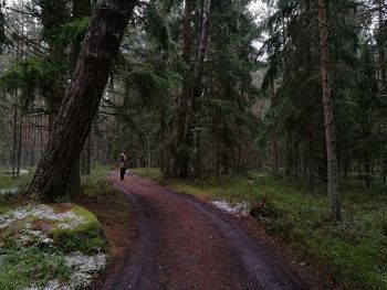 Man standing on dirt road in forest