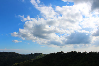 Low angle view of trees against sky