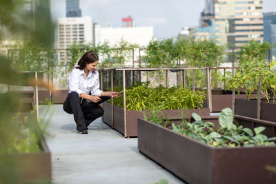 Young woman sitting on potted plant in city