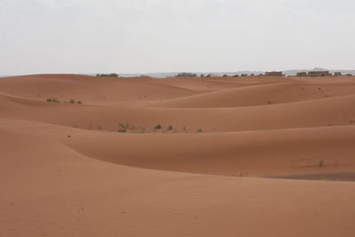 Scenic view of desert