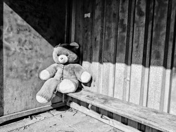 Abandoned toy sitting on wood