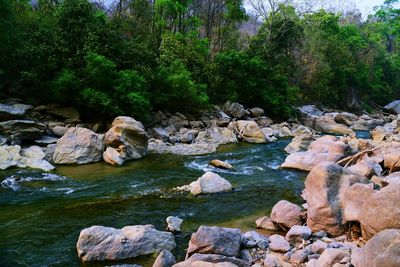 River flowing through rocks in forest