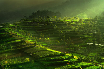 High angle view of townscape against sky