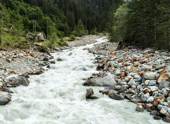 Stream flowing through rocks in forest