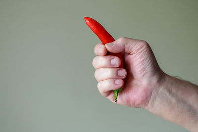 Close-up of hand holding red chili pepper against white background