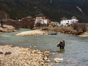 View of a river in a building