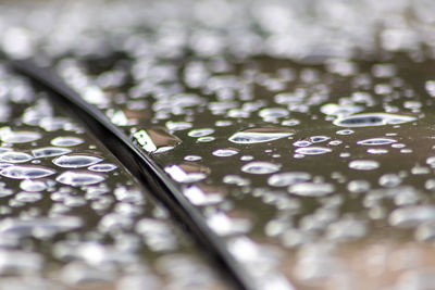 Close-up of water drops on leaf