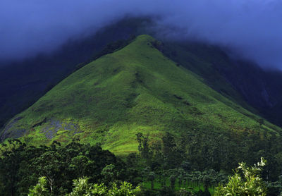 High angle view of green landscape