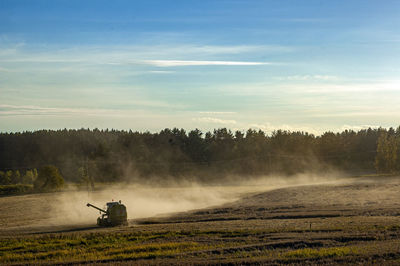 Scenic view of field against sky