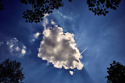 Low angle view of trees against blue sky