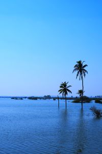 Scenic view of sea against clear blue sky