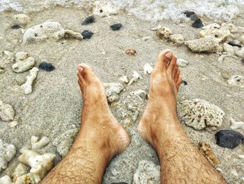 Low section of person on sand at beach