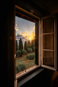 Trees seen through window