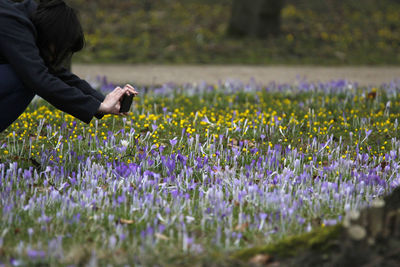 Midsection of woman photographing flowers through mobile phone on field