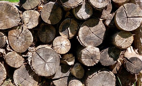 Full frame shot of logs in forest