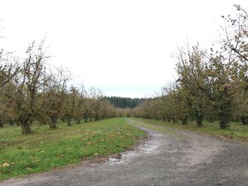 Scenic view of farm against clear sky