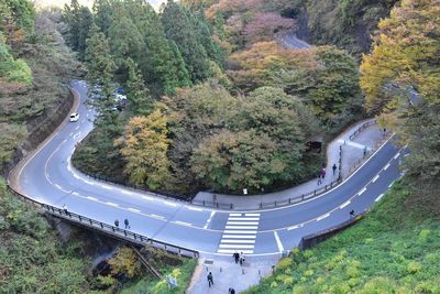 High angle view of winding road amidst trees