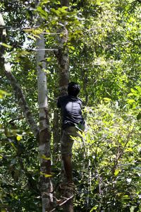 Rear view of man walking in forest