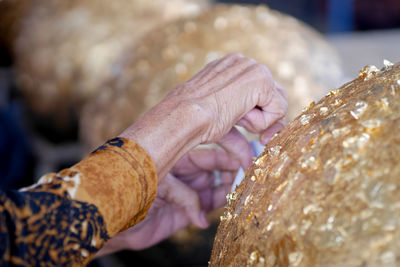 Close-up of hand holding leaf