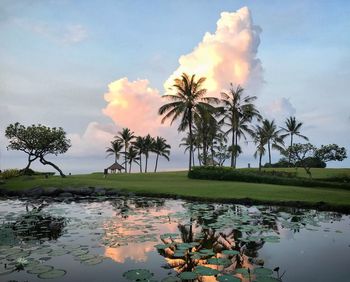 Reflection of palm trees in lake against sky