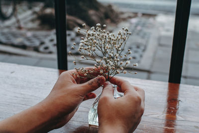 Cropped hands of woman arranging flowers in vase on table