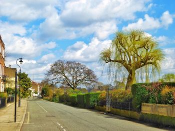 Empty road along trees