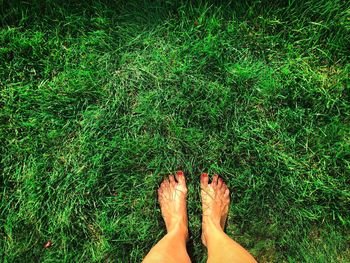 Low section of woman standing on grassy field