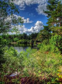 Scenic view of lake with trees in background