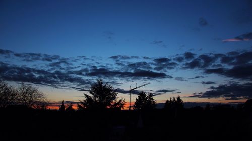 Silhouette of trees at sunset