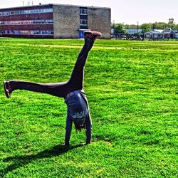 Outdoors on grassy field