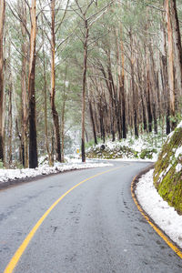 Empty road amidst trees in forest