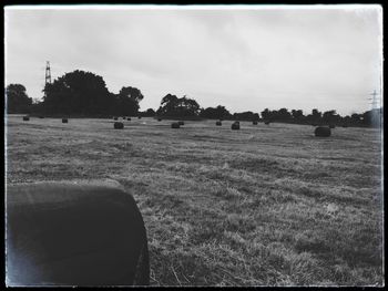 Trees on field against sky