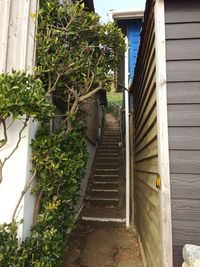 Staircase of building