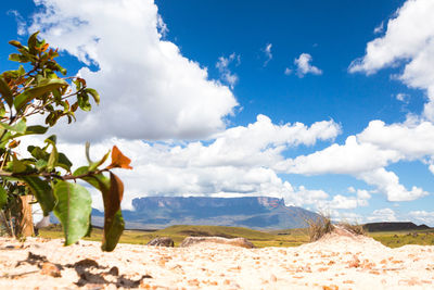 Scenic view of land against sky