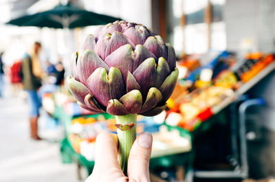 Close-up of hand holding artichoke at market