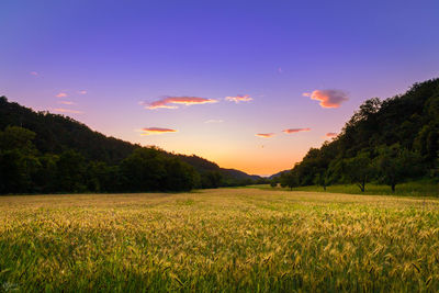 Scenic view of field against sky during sunset