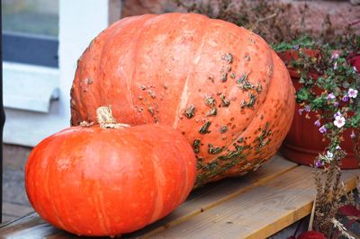 Close-up of pumpkin on table